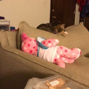 Meet your Posher, Virginia